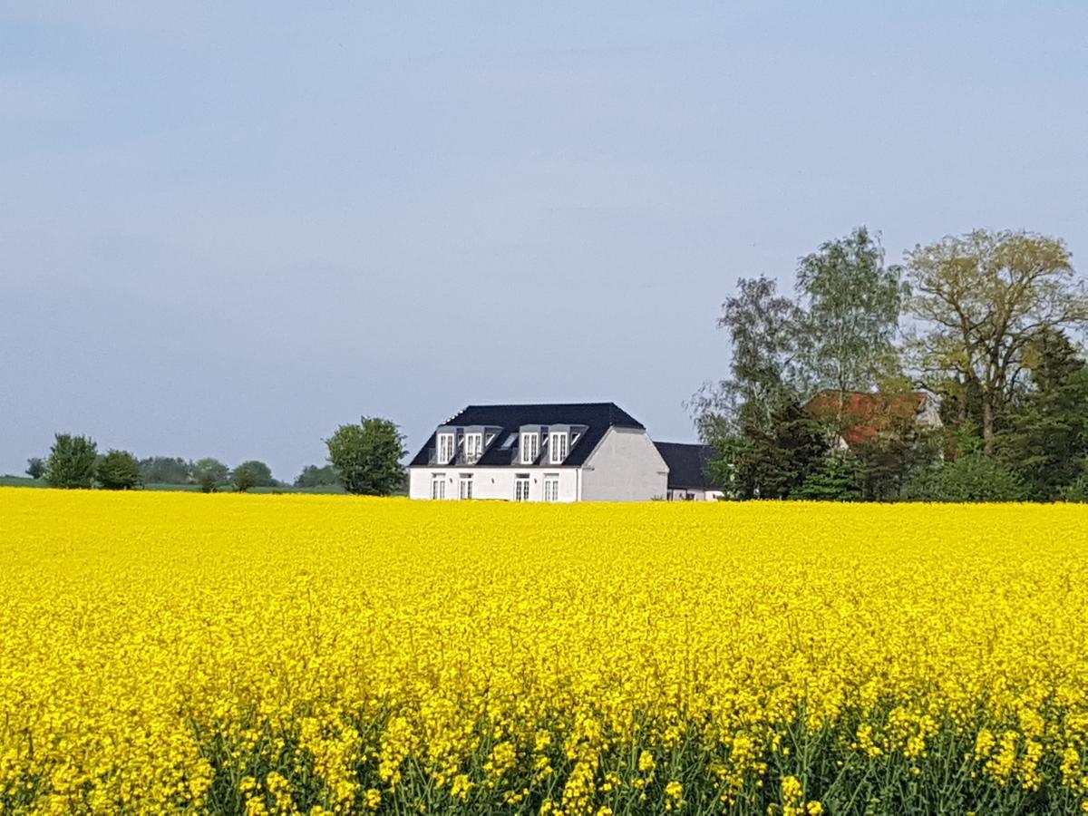 Roskilde B&B Gadstrup Exteriör bild