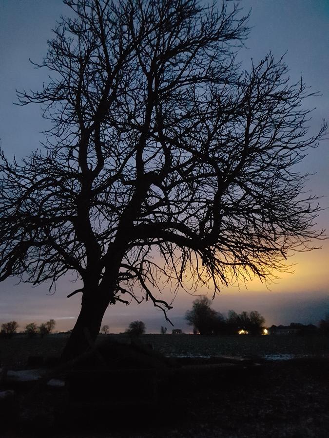Roskilde B&B Gadstrup Exteriör bild