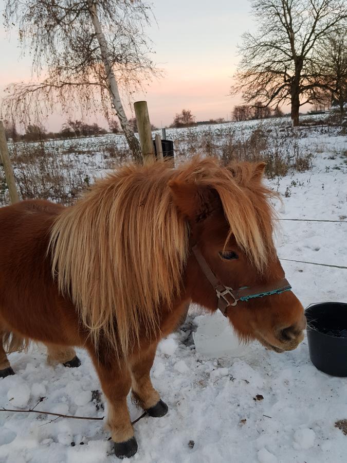 Roskilde B&B Gadstrup Exteriör bild